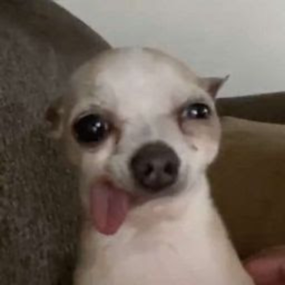 Meet your Posher, Samantha - Picture 1 of 1